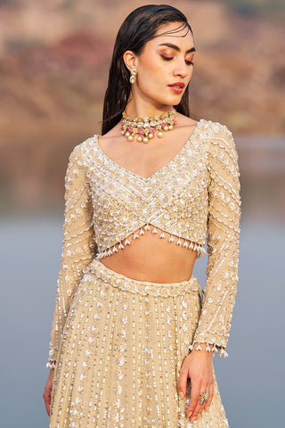 Nidhika Shekhar-Gold Hand-Crafted Embellished Lehenga Set-INDIASPOPUP.COM