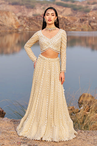Nidhika Shekhar-Gold Hand-Crafted Embellished Lehenga Set-INDIASPOPUP.COM