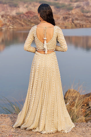 Nidhika Shekhar-Gold Hand-Crafted Embellished Lehenga Set-INDIASPOPUP.COM