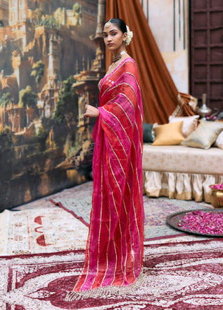 Red and pink kumudini sari and corset