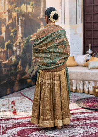 Bronze and green pitambara anarkali set