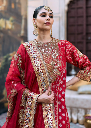 Red lohita brocade kurta set