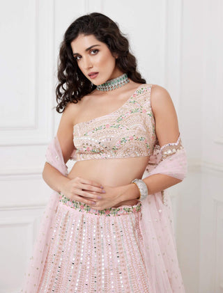 Chamee And Palak-Joy Light Pink Lehenga Set-INDIASPOPUP.COM