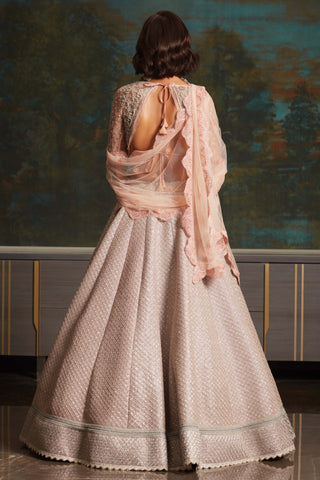 Jade By Monica & Karishma-Pearly Blush Pink Lehenga Set-INDIASPOPUP.COM