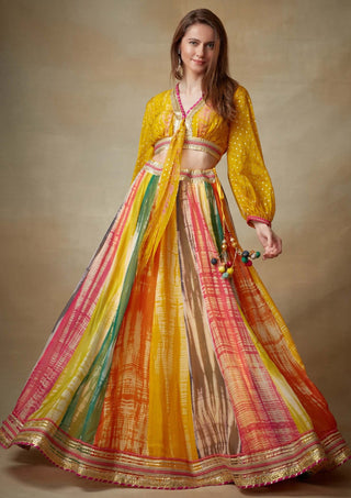 Kisneel By Pam Mehta-Multicolor Organza Lehenga And Choli-INDIASPOPUP.COM