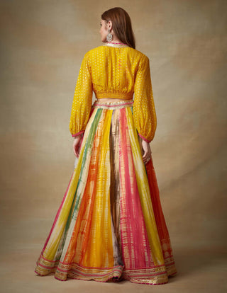 Kisneel By Pam Mehta-Multicolor Organza Lehenga And Choli-INDIASPOPUP.COM