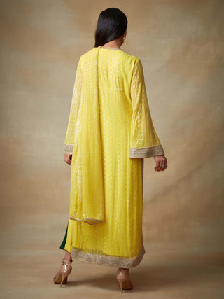 Kisneel By Pam Mehta-Yellow Chiffon Straight Kurta Set-INDIASPOPUP.COM