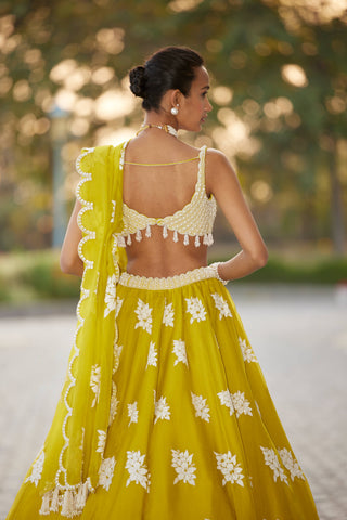 Vvani By Vani Vats-Moss Green Flower Lehenga Set-INDIASPOPUP.COM