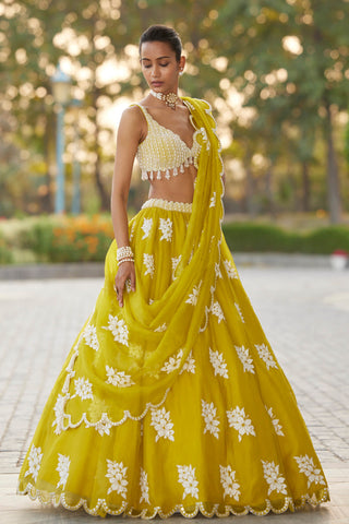 Vvani By Vani Vats-Moss Green Flower Lehenga Set-INDIASPOPUP.COM