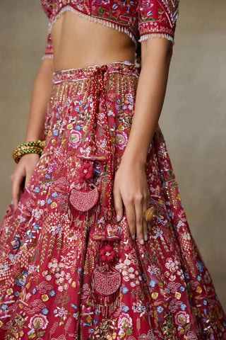 Lovebirds sindoori red lehenga set