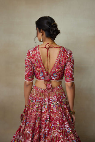 Lovebirds sindoori red lehenga set