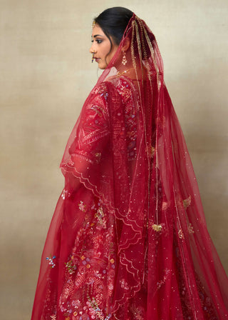 Lovebirds sindoori red lehenga set