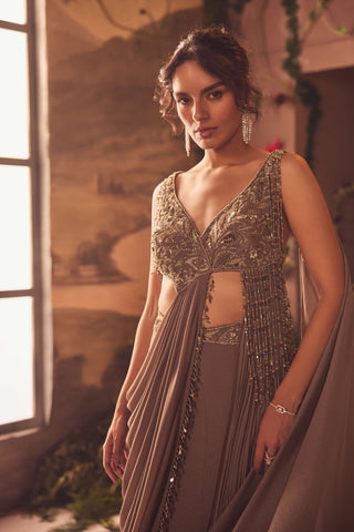 Lian brown draped sari and blouse