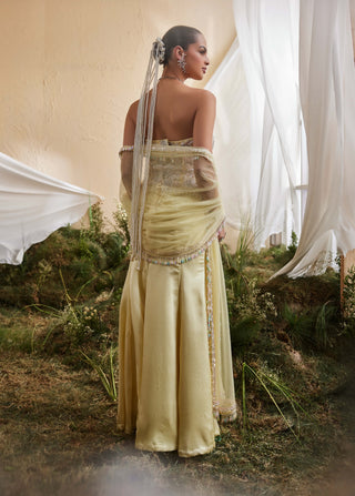 Marigold pastel yellow corset and skirt set