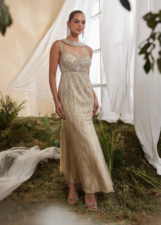 Gazania golden beige embroidered gown and stole