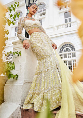 Mani Bhatia-Florentine Yellow Mermaid Style Lehenga Set-INDIASPOPUP.COM