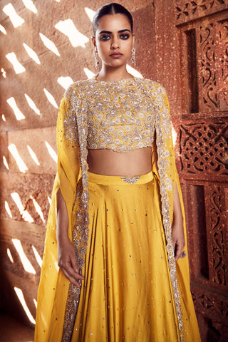 Turmeric Iconic Winged Cape And Skirt Set by Matsya available on Indiaspopup.com