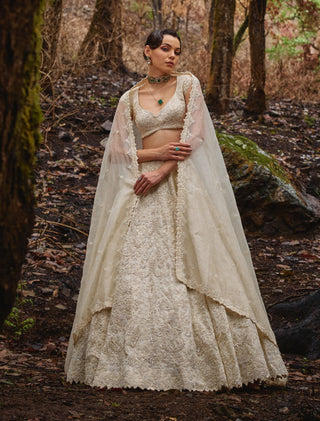 Pearlight embroidered lehenga set