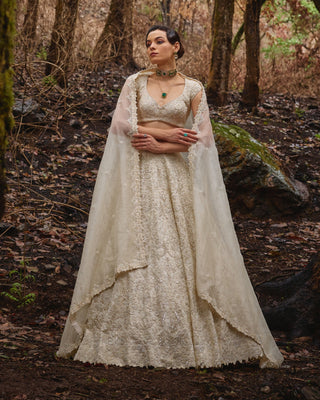 Pearlight embroidered lehenga set