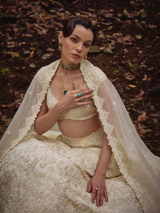 Pearlight embroidered lehenga set