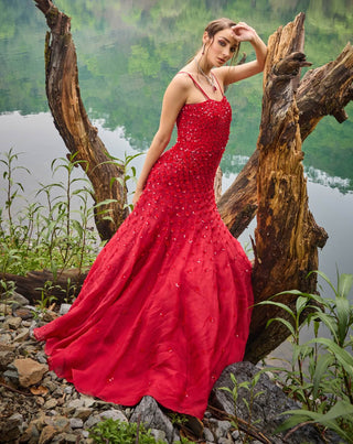 Scarlet red embroidered gown