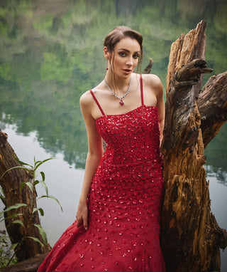 Scarlet red embroidered gown