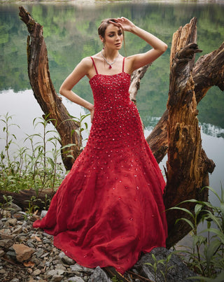 Scarlet red embroidered gown