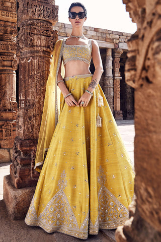 Royal Pyramid Turmeric Lehenga Set by Matsya available on Indiaspopup.com