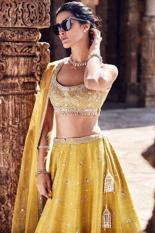 Royal Pyramid Turmeric Lehenga Set by Matsya available on Indiaspopup.com
