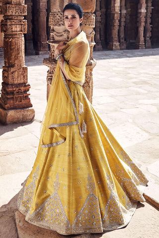 Royal Pyramid Turmeric Lehenga Set by Matsya available on Indiaspopup.com