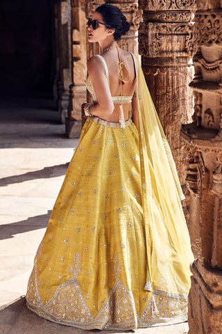 Royal Pyramid Turmeric Lehenga Set by Matsya available on Indiaspopup.com