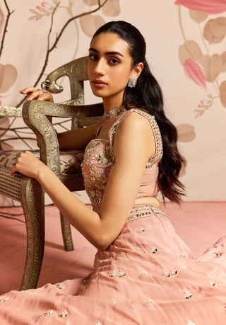 Dusty pink corset and embellished lehenga set