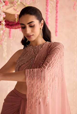 Champagne rose embellished blouse and predraped sari