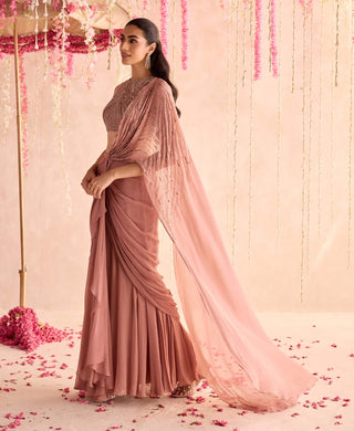 Champagne rose embellished blouse and predraped sari