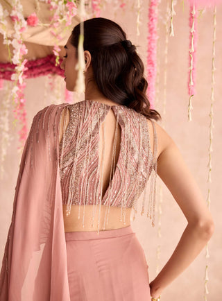 Champagne rose embellished blouse and predraped sari
