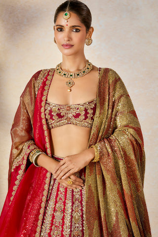 Kokum sherbet wine lehenga set