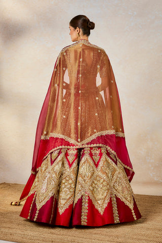 Kokum sherbet wine lehenga set