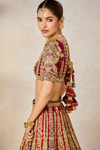 Kokum sherbet wine lehenga set