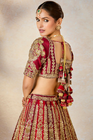 Kokum sherbet wine lehenga set
