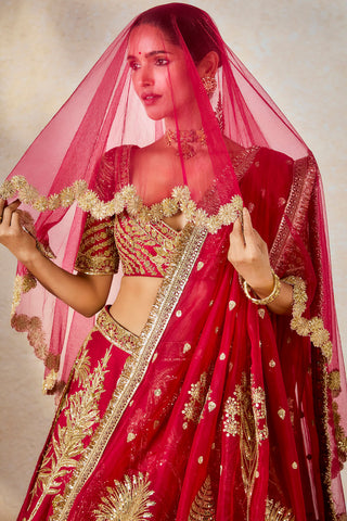 Raspberry aalu bukhara lehenga set