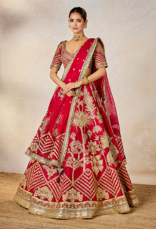 Raspberry aalu bukhara lehenga set
