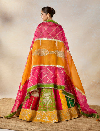 Multicolor rainbow barfi lehenga set