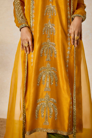Ochre aam panna kurta set