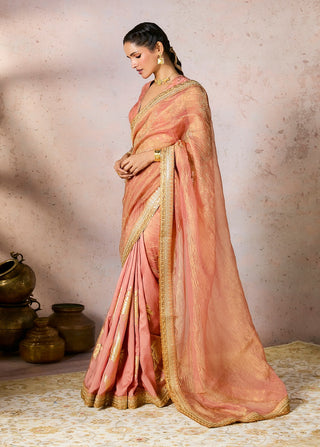 Peach Palm Blooms Tissue Sari And Blouse by House Of Masaba, available on Indiaspopup.com