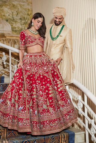 Maysa red lehenga set