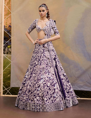 Purple caradonna lehenga set