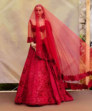 Red ellisiana lehenga set