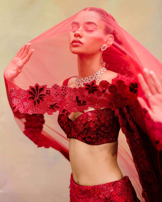 Red ellisiana lehenga set