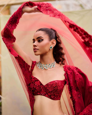 Red ellisiana lehenga set