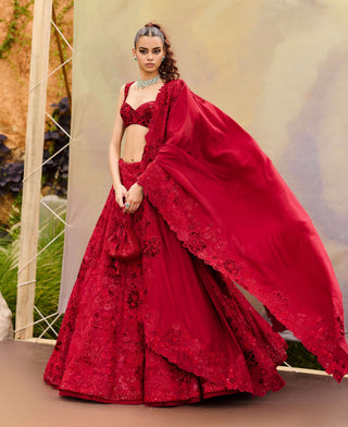 Red ellisiana lehenga set
